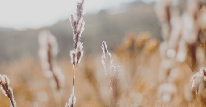 Navigation and Assessments