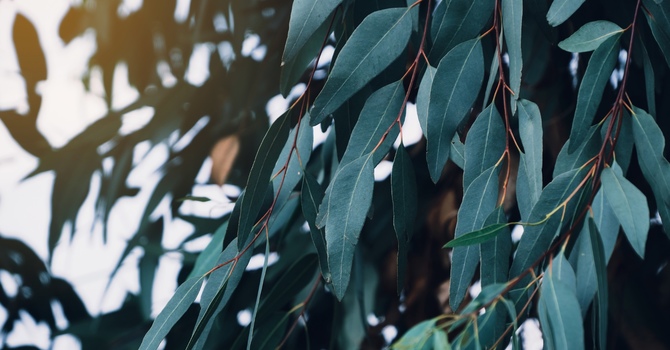 Navigation and Assessments